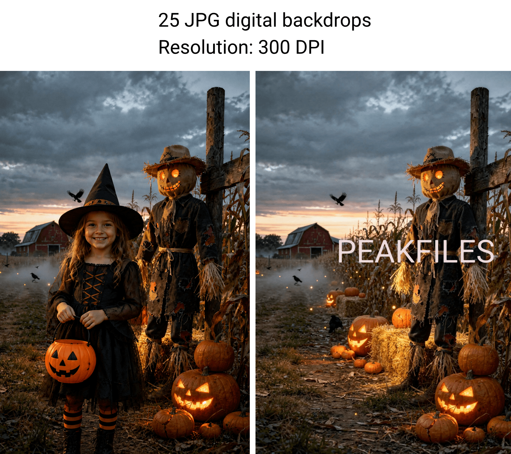 25 Halloween Scarecrow Digital Backdrops, Cornfield Farm JPG, Pumpkin Patch Photography, Kids Portrait Photography - Thumbnail 4