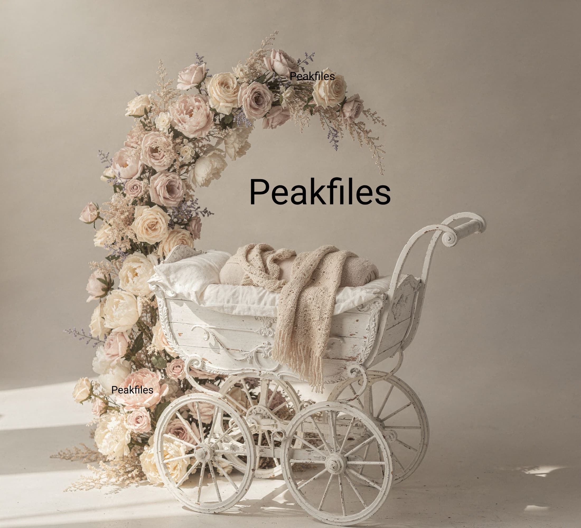 Vintage Floral Newborn Backdrop, Neutral Baby Photography Background, Soft Beige Props Scene